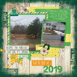 Spring 2019