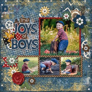 Joys Of Boys