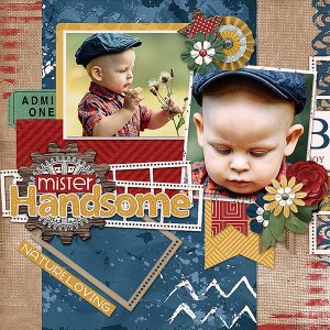 Mr.Handsome