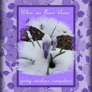 Spring Awakens