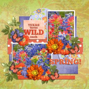 Texas turns WILD each SPRING!