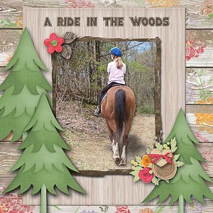In the Woods