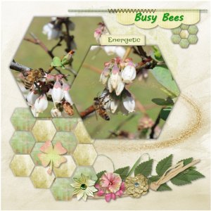 Busy Bees