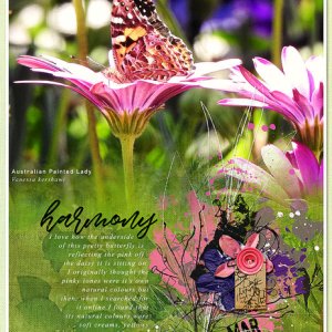 HARMONY