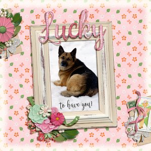 Lucky to Have You
