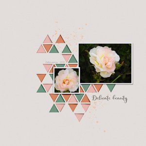 DELICATE BEAUTY