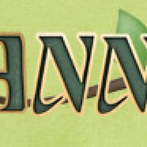 Green Jungle March Signature Challenge