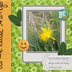 daffodils