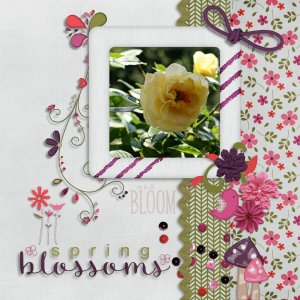 spring_blossoms