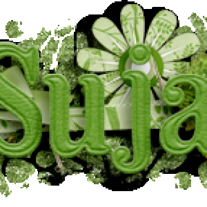 Suja Siggy 202103