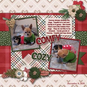 GS Designer Spotlight Challenge Mar 2021