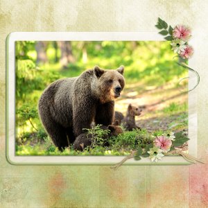 Use-it-All Challenge, March 2021, with Karen Schulz