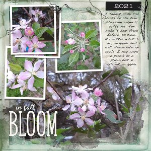 In Full Bloom