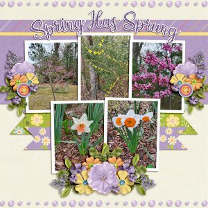 Spring Has Sprung