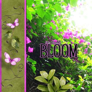 ...in full Bloom