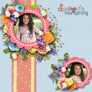 Spring Has Sprung