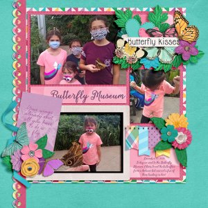 Butterfly Museum