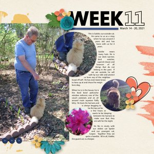 Week 11