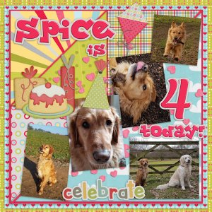 Happy Bday Spice