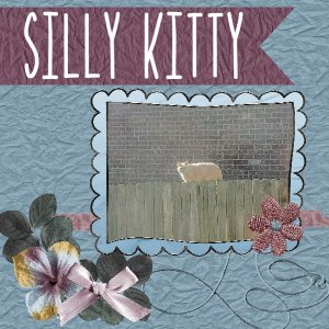 Silly Kitty