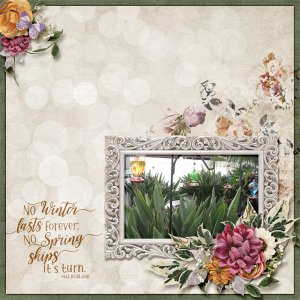 Welcome Spring