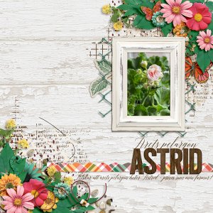 Astrid - geranium of the year