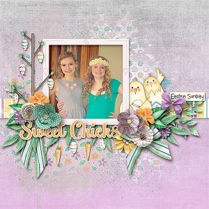 Sweet Chicks