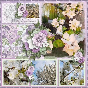 Spring beauty