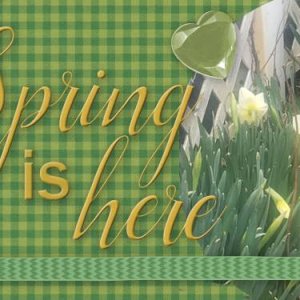 spring