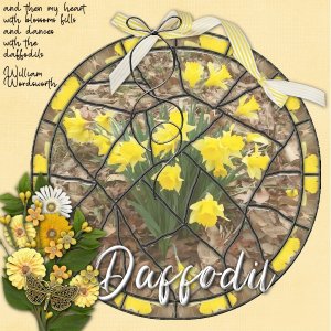 Week 3 [Stained Glass] Immunity Challenge