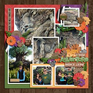 animal kingdom