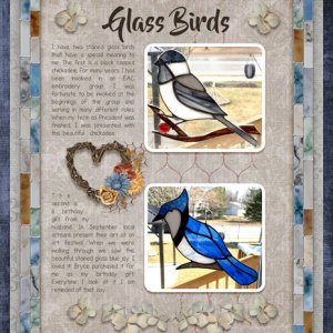 Immunity Week Two - Glass Birds