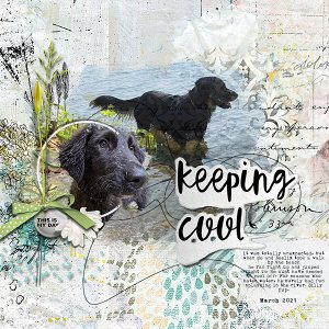 Keeping Cool