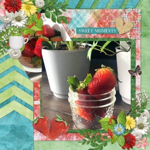 Strawberry Mint