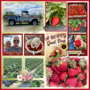 A Berry Good Day