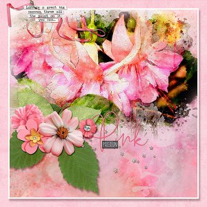 PINK PASSION