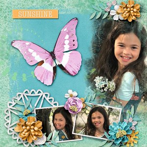 Sunshine