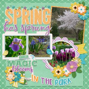 Pure Magic Spring Flowers