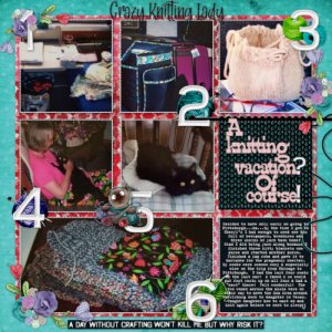 A Knitting Vacation?  Of Course!
