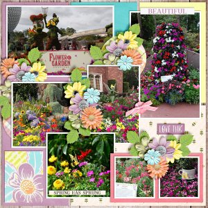 Spring-Sprung