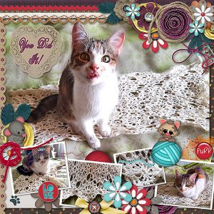 Crochet Work