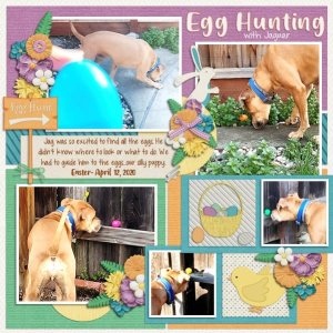 Egg Hunting