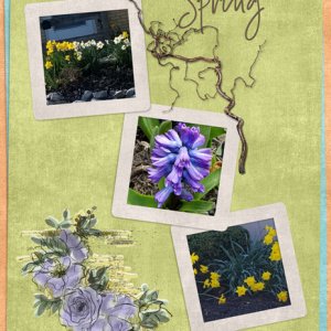 Spring