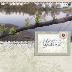 Spring - New Growth