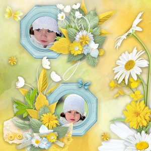 ID_Daisy_pp_1_