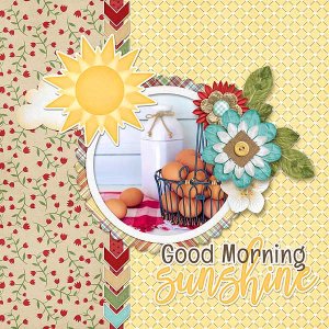 Good Morning Sunshine