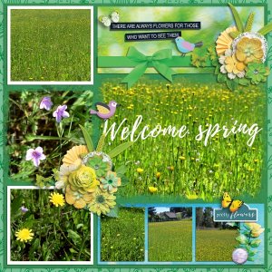 Spring Flowers