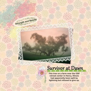 Survivor at Dawn