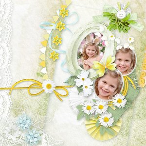 ID_Daisy