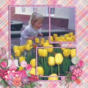 Tulips 2006
